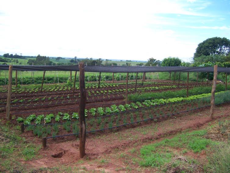 Abordagem Agroecológica: Conviver, na medida do possível, com as limitações.