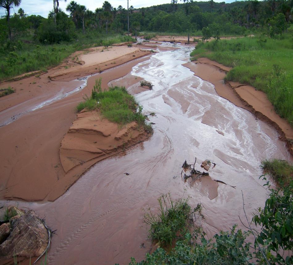 Manejo do solo com enfoque no Nossa intervenção nos ecossistemas deve se caracterizar por dois princípios: A intervenção numa determinada