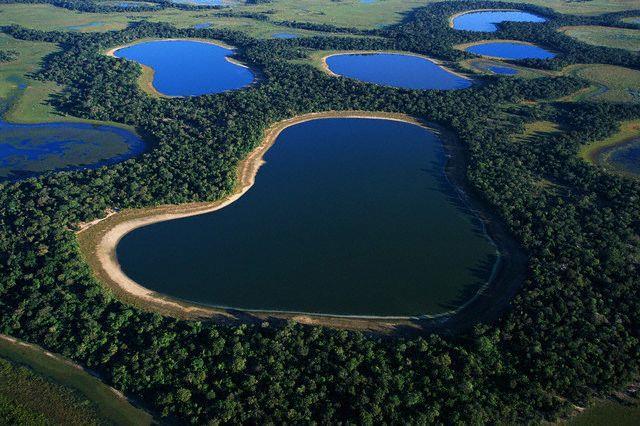 Visite o site da Embrapa Pantanal: http://www.cpap.embrapa.