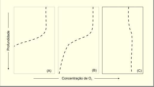 12 O lago também pode ser classificado quanto ao padrão de estratificação/circulação de água (Wetzel, 1983) em: Holomítico: quando a circulação envolve toda a coluna d água.