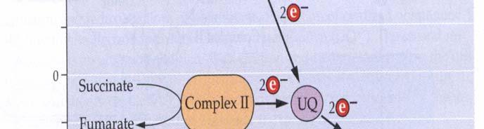 CR potencial redox