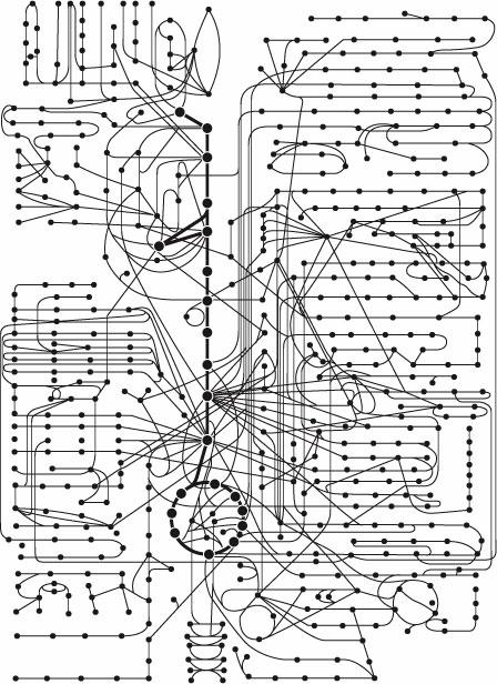 Metabolismo e Energia conceitos básicos Os organismos apresentam uma grande similaridade entre suas principais vias metabólicas Por