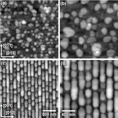 Resultados experimentais das linhas litografadas no InP 154 Figura 92 Nanoestruturas nucleadas sobre uma camada de nanoestruturas crescidas na superfície nanolitografada do InP em duas direções