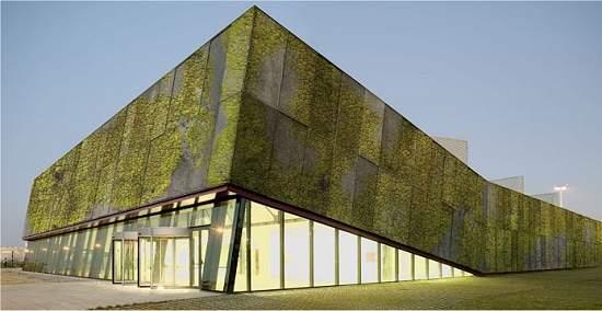 Concreto biológico cria fachadas verdes naturalmente O objetivo é criar prédios com