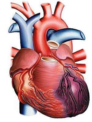Vamos falar agora sobre o choque cardiogênico!