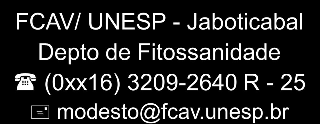 Barreto FCAV/ UNESP -