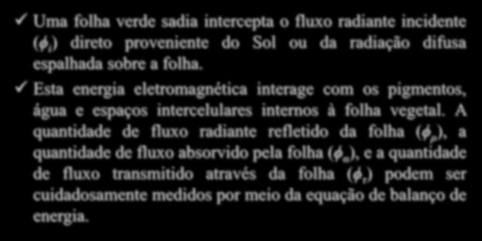 Características Espectrais da Vegetação i Uma folha verde sadia intercepta o fluxo radiante incidente (ϕ i ) direto proveniente do Sol ou da radiação difusa espalhada sobre a folha.