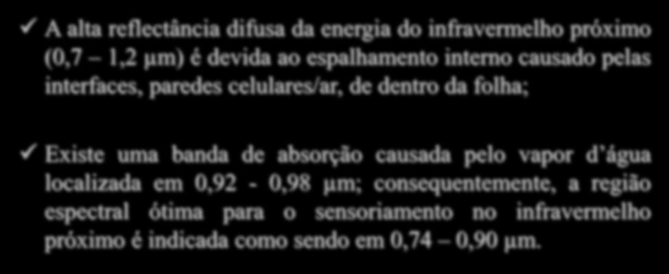 Comportamento Espectral da Vegetação A alta reflectância difusa da energia do infravermelho próximo (0,7 1,2 µm) é devida ao espalhamento interno causado pelas interfaces, paredes celulares/ar, de