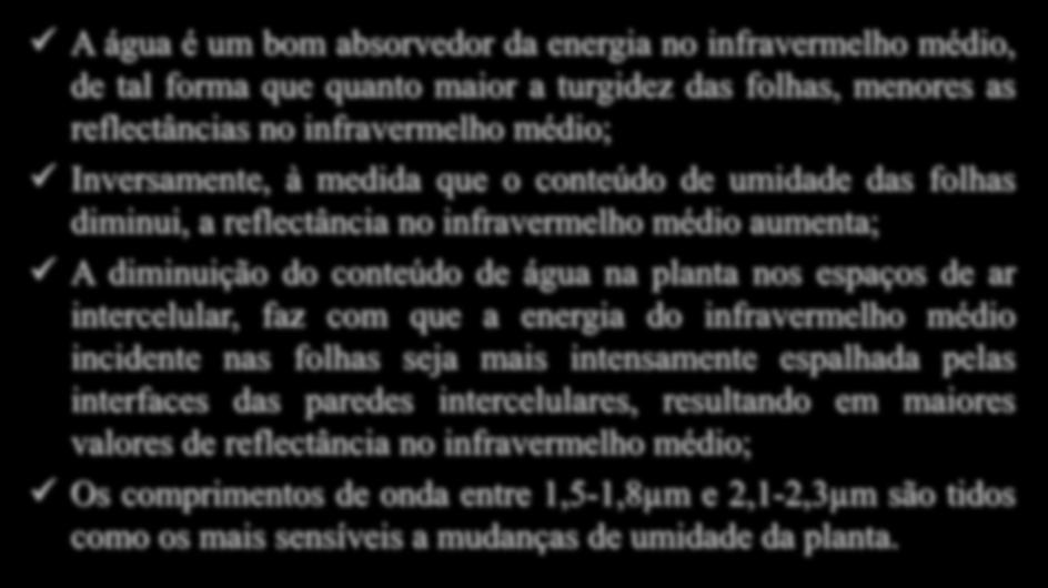 Influência do Conteúdo de Água na Vegetação A água é um bom absorvedor da energia no infravermelho médio, de tal forma que quanto maior a turgidez das folhas, menores as reflectâncias no