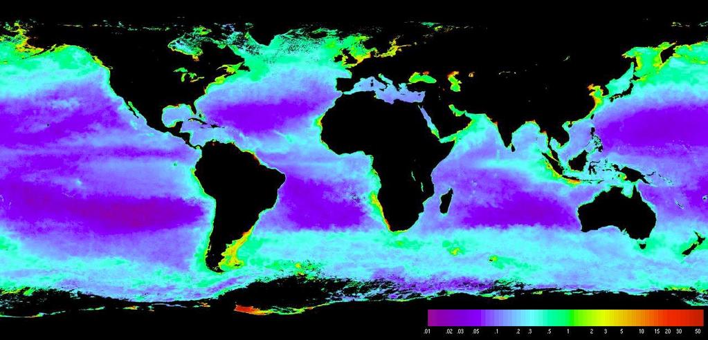 Global Chlorophyll a (g/m 3 ) Derived from SeaWiFS Imagery