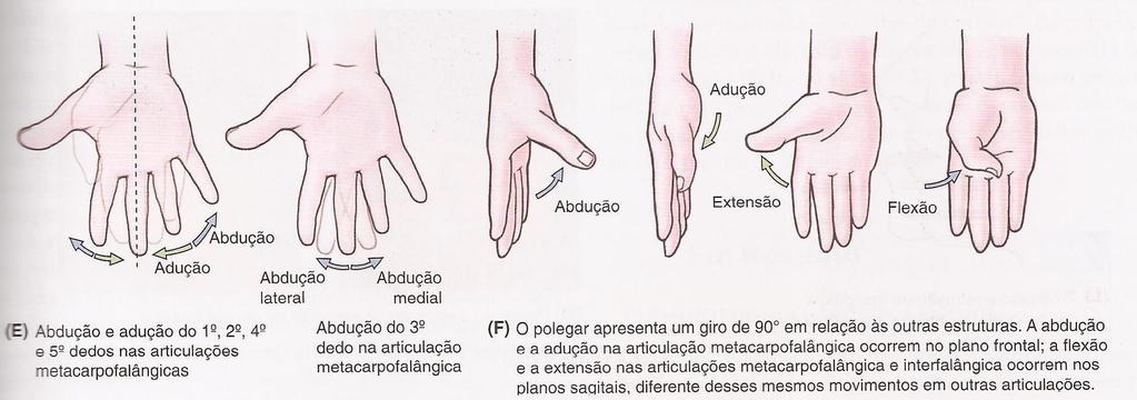 Abdução dos dedos das mãos ou pés significa afastá-los. É um movimento de afastamento dos outros dedos das mãos em relação ao 3º dedo (dedo médio).