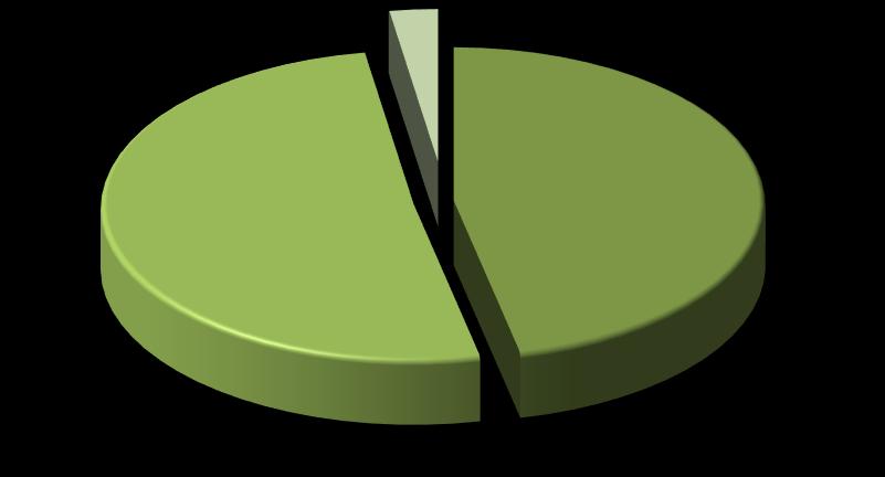 Linhagem de Enfermagem - Espírito Santo 1,3% Não 56,4% Sim 42,3% 3,0% Brasil Não