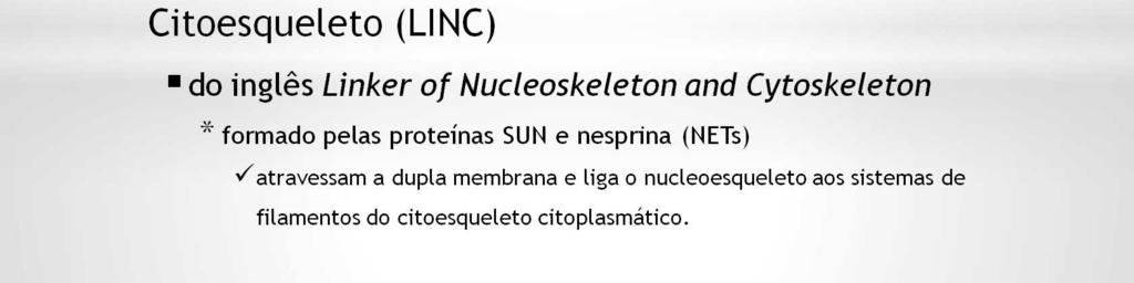 O chamado Complexo vinculador de Nucleoesqueleto e Citoesqueleto (LINC), atravessa a dupla