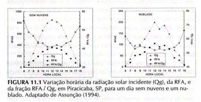 A proporção de Radiação Fotossinteticamente Ativa muda conforme a nebulosidade: dias nebulosos tem