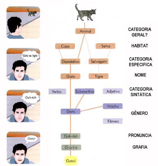 Lexicon mental Dicionário interno onde ficam arquivados os vários elementos da linguagem.