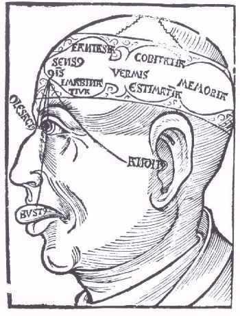 Alvorecer da Neuropsicofisiologia Cérebro: órgão da atividade mental Processos mentais complexos Funções corticais superiores Atividades