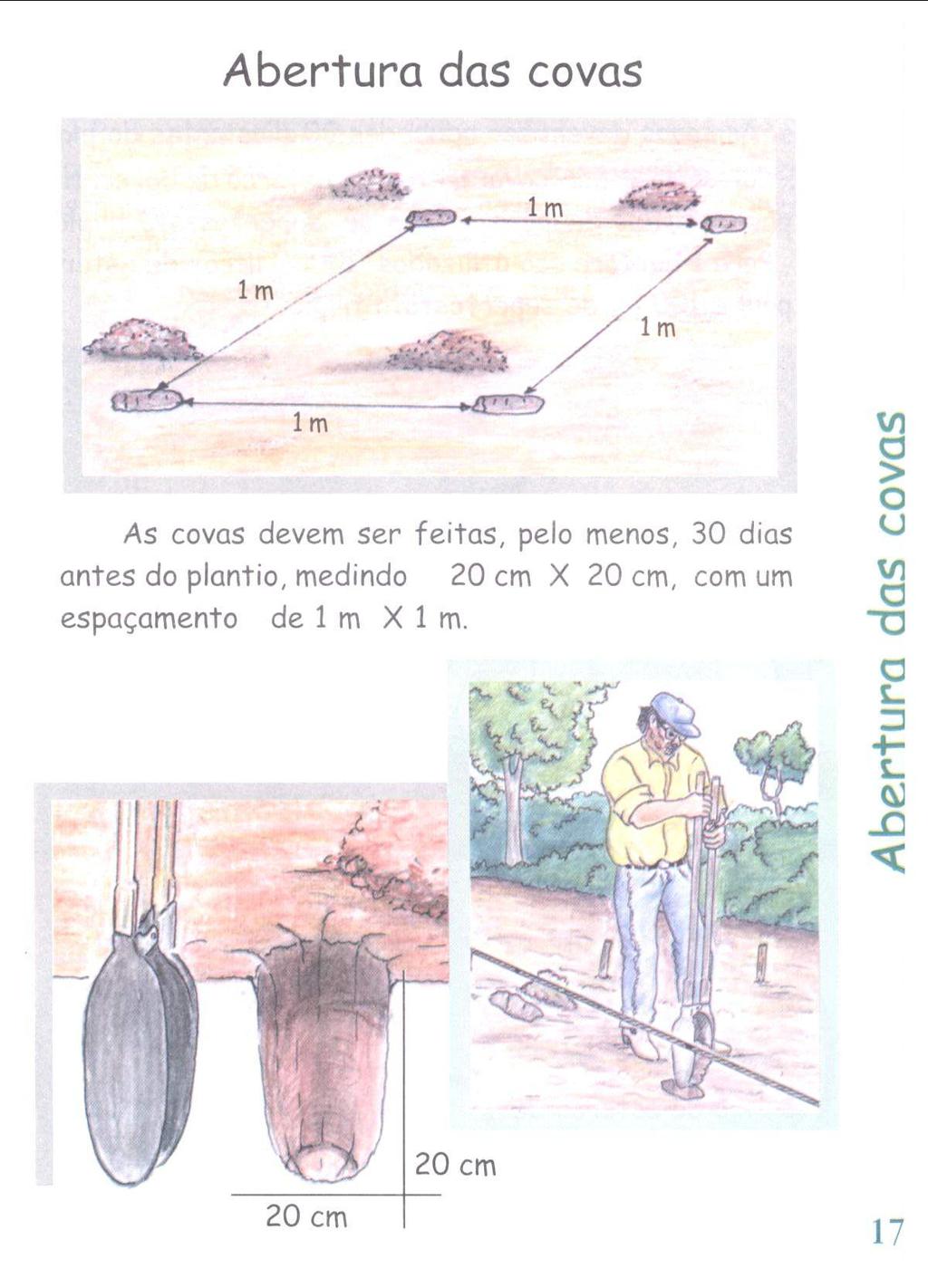Abertura das covas im 1m / / As covas devem ser feitas, pelo menos, 30 dias untes do plantio, medindo 20 cm