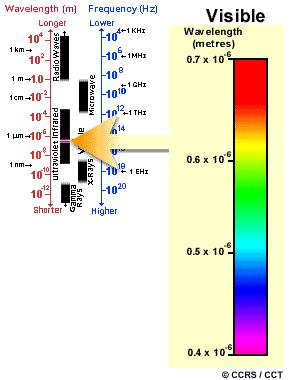 Espectro Electromagnético A luz que os nosso olhos conseguem detectar é a porção designada por espectro visível.