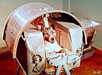 O primeiro ser vivo a ir ao espaço O primeiro ser vivo a ir ao espaço foi uma cadela chamada