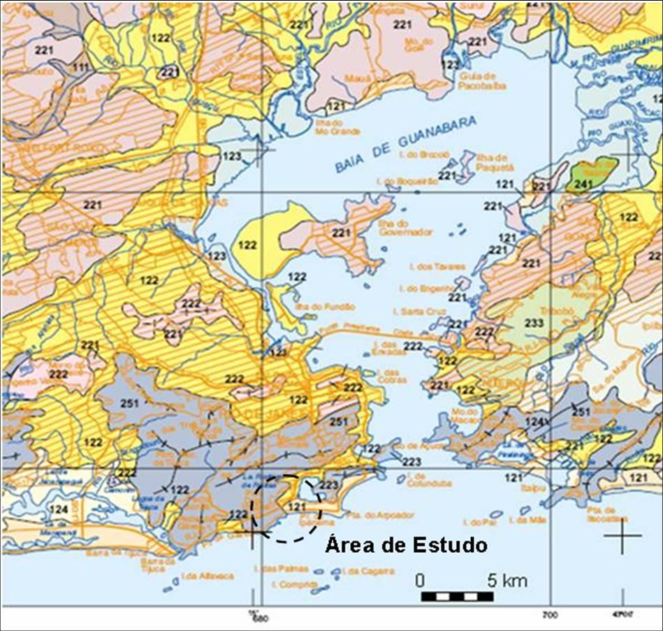 45 Figura 3.4 Mapa Geomorfológico. 3.5. Vegetação A vegetação original era composta por floresta subperenifólia e subcaducifólia, nos maciços da Pedra Branca, Tijuca e da Região dos Lagos, mantendo, em grande parte, a mata preservada.