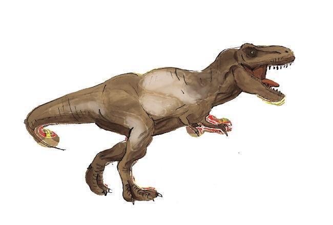 Na Lourinhã existe mesmo o maior trilho de pegadas de dinossauros do mundo, com mais de 1.000 pegadas fossilizadas e preservadas no solo!