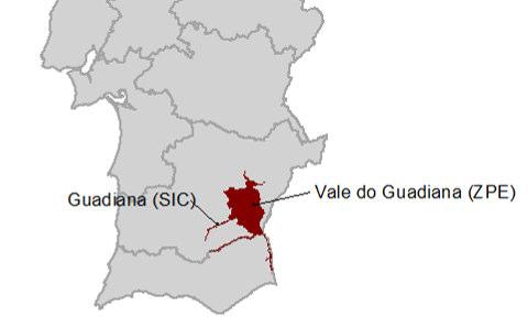 8 ITI GUADIANA 8.1 Áreas classificadas incluídas As áreas classificadas incluídas nesta ITI são (Figura 8.1): Sítio Guadiana (PTCON0036) ZPE Vale do Guadiana (PTZPE0047) Figura 8.