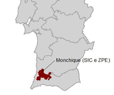 10 ITI MONCHIQUE 10.1 Áreas classificadas incluídas Nesta ITI inclui-se o Sítio e ZPE de Monchique PTCON0037 (Figura 10.1). Figura 10.1 - Áreas classificadas incluídas na ITI Monchique 10.