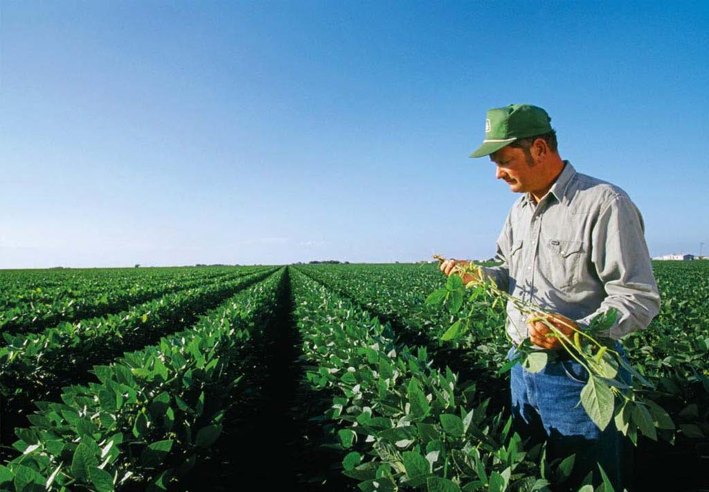 Sector Agro-alimentar em França: oportunidade de exportação para os Empresários