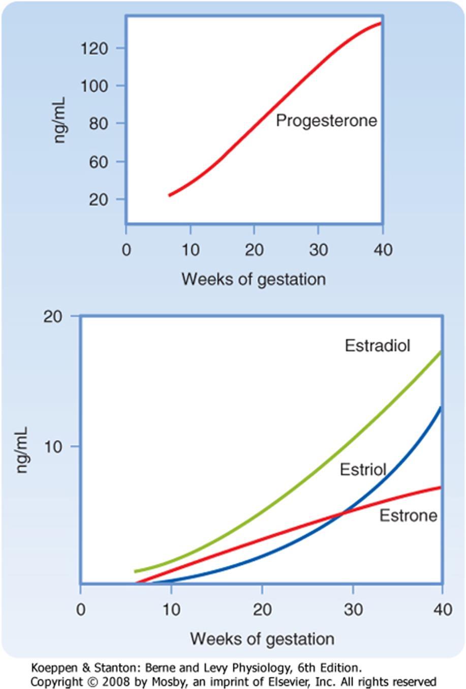 Principais alterações hormonais Progesterona produzida pelo corpo lúteo e depois pela placenta diminui a contração do útero impede a expulsão prematura do feto (inibe prostaglandina); começa a