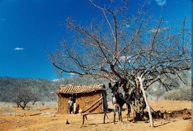 Dependência dos Serviços Ecossistêmicos PIB dos pobres: