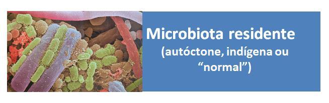 Caráter anfibiôntico Microrganismos podem se comportar como patógenos oportunistas, em situações de desequilíbrio ou ao serem