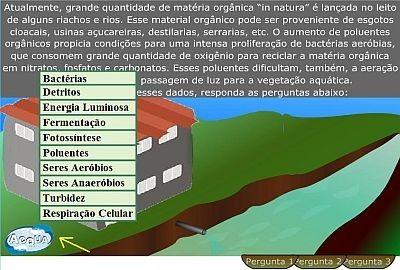 relacionados ao desafio.