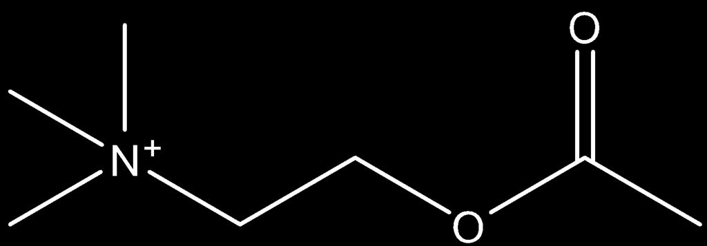 Junção Neuromuscular Como vimos anteriormente, na sinapse química a comunicação entre a célula présináptica e a célula pós-sináptica ocorre por meio da liberação de um neurotransmissor da célula