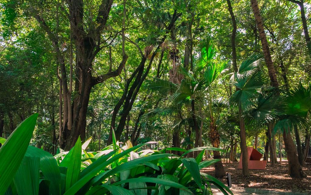Jardim MCB Área verde de mais de 6 mil m² com cerca de 500 espécies, entre