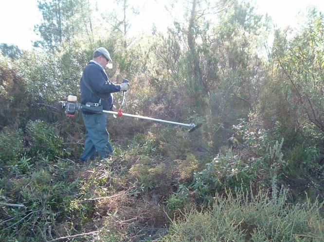 Conservação dos Habitats de Matagais de Juniperus spp.