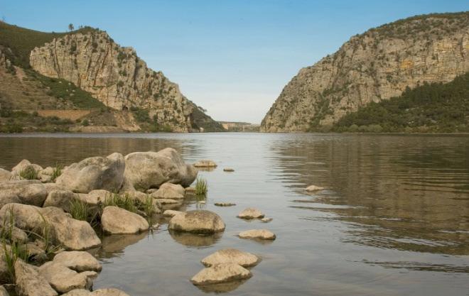 Características dos Sítios: Diversidade de habitats Mosaico