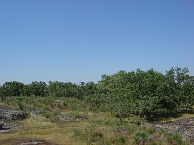 Meridional Nisa/Lage da Prata Portas de Rodão IBA PT037 (Zona