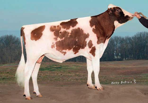 PAYOFF-RED APRILDAY SAVE PAYOFF-RED-ET SAVE*RC x ALTAR2 PAI: K-MANOR EPIC SAVE-ET MÃE: APRIL-DAY R2 PROSCECO APRIL-DAY R2 PROSCECO VG-86.