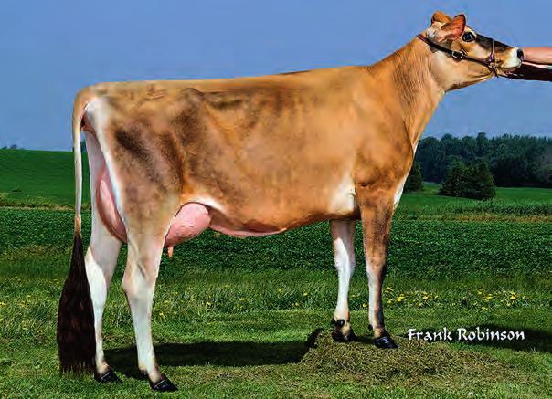 JERSEY GUS FARIA BROTHERS GUS FRING MARVEL x RENEGADE PAI: ALL LYNNS VALENTINO MARVEL MÃE: FARIA BROTHERS RENEGADE 026 VG 85 2-07 277D