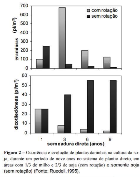 Rotação de culturas Trabalho recente sobre os