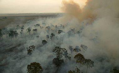 A crescente devastação das selvas e os constantes incêndios florestais preocupam, porque não está claro até que ponto afetam esse transporte de umidade e o regime de chuvas.