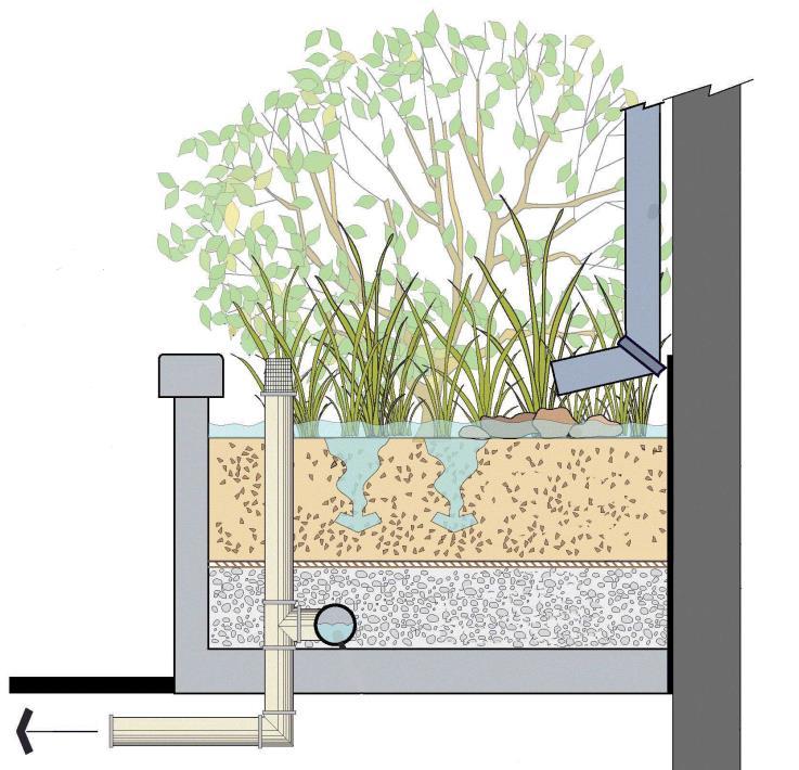 2. JUSTIFICATIVA Os jardins drenantes, são medidas que utilizam a atividade biológica de plantas e microrganismos para remover os poluentes das águas pluviais, e contribuir para a infiltração e