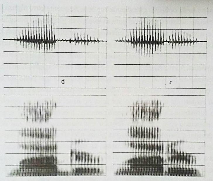 26 FIGURA 6: Forma de onda e espectrograma para a palavra latter produzida com uma oclusiva intervocálica [d] (esquerda) e uma vibrante simples intervocálica [ɾ] (direita) Fonte: KENT e READ, 2015, p.