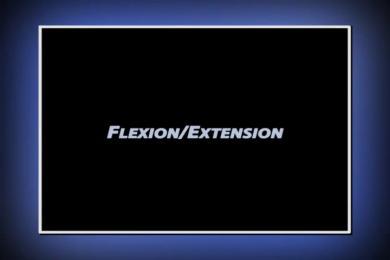 Flexão - Extensão Abdução - Adução Rotação