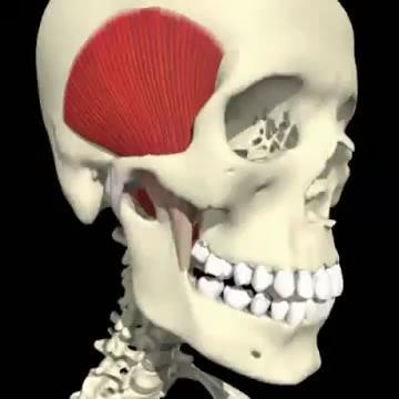 Protrusão da mandíbula Retrusão