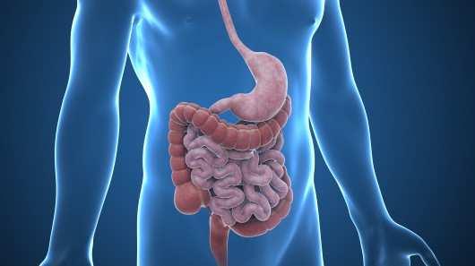 Complicações Gastro Intestinais Distensão Abdominal/Dilatação Gástrica É o acúmulo de gases e fezes no intestino, muito frequentes no pós-operatório de cirurgias abdominais.