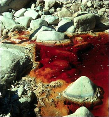 38 Figura 8. Drenagem ácida de minas da Iron Mountain.Fonte:http://wwwbrr.cr.usgs.gov/projects /GWC_chemtherm/ironmtn.