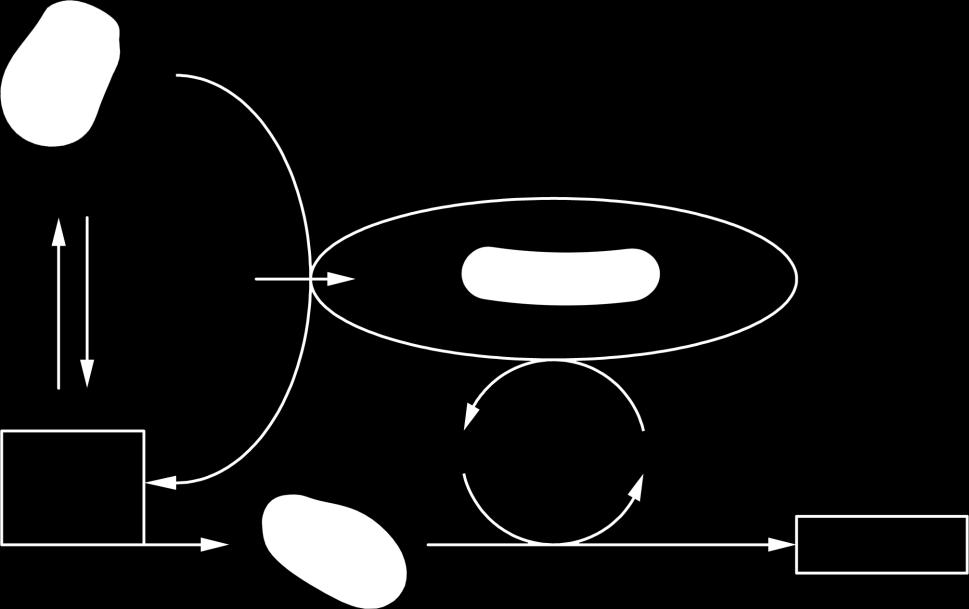 Um dos objetivos é obter o U 6+ (forma oxidada e solúvel) e para isto são utilizados íons Fe 3+, conforme mostra a Figura 28 e a Reação 30.