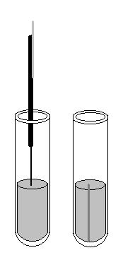 1.1. Semeadura em Tubos de Ensaio (em meios inclinados) Esgotamento de alça 1.1.1. Técnica utilizada para obtenção de crescimento bacteriano e/ou para a observação de propriedades bioquímicas da bactéria.