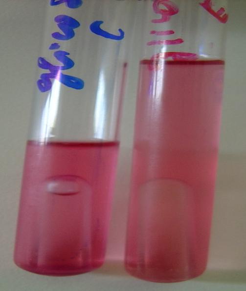 Andrade (vermelho em ph ácido) Enterobactérias